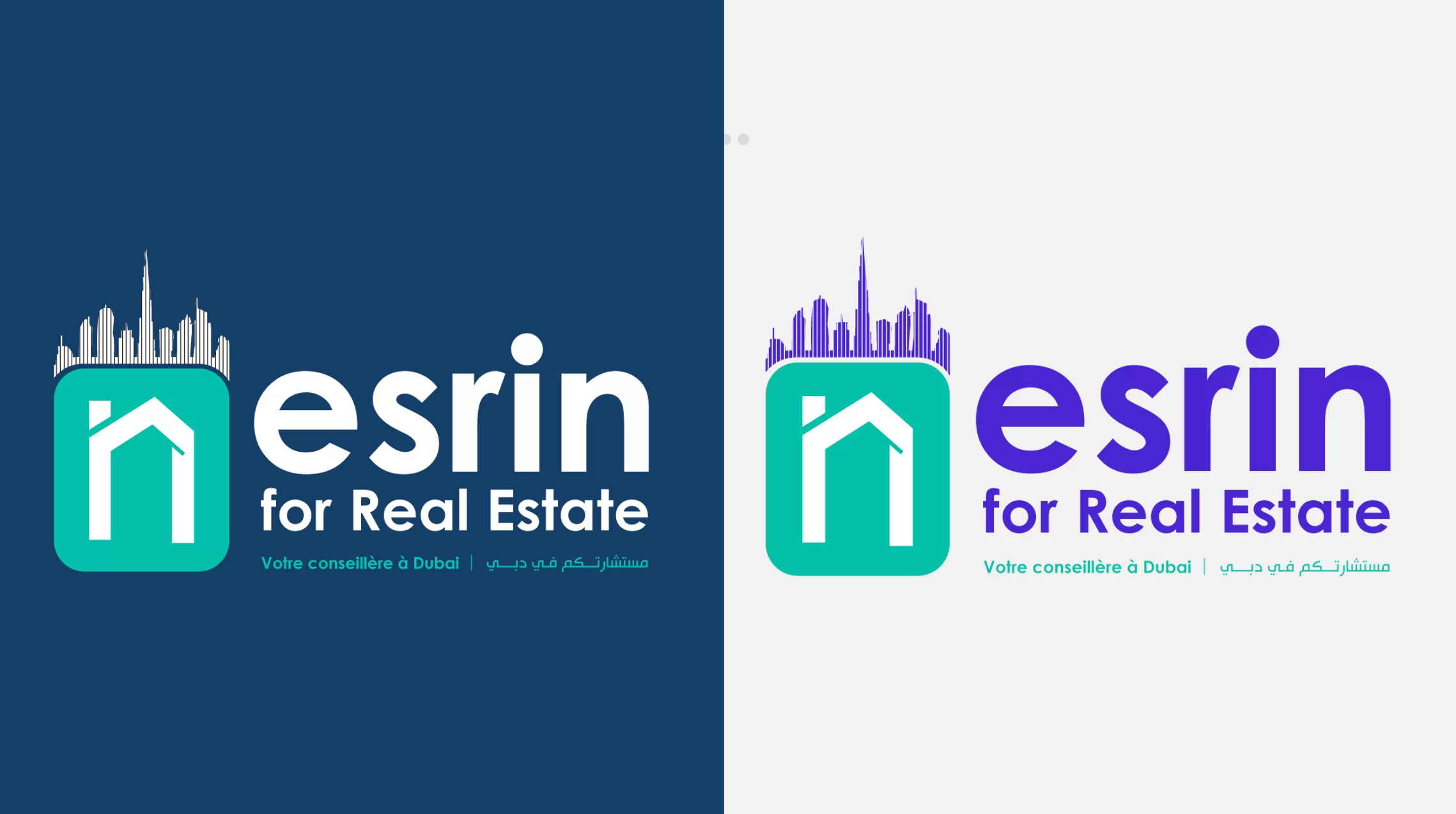 Nesrin for Real Estate Logo creation FORCINET